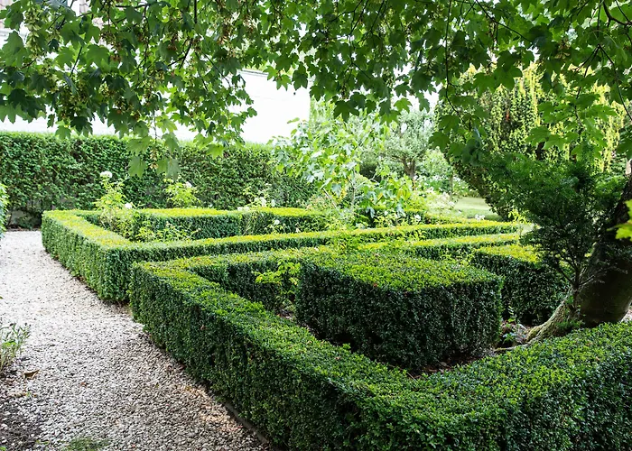 La Castagnere De Bergory